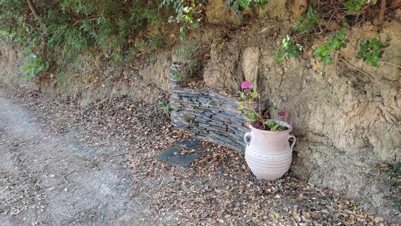 Aiolos Kalamaki  Esterno foto