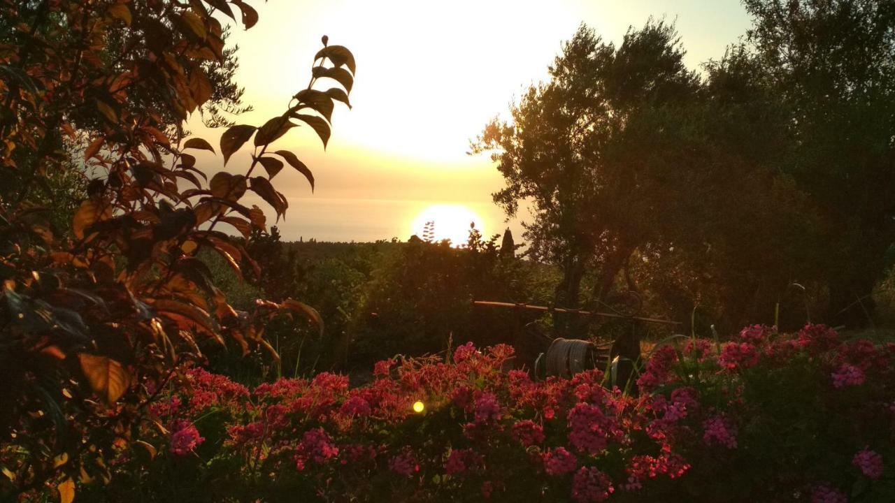 Aiolos Kalamaki  Esterno foto